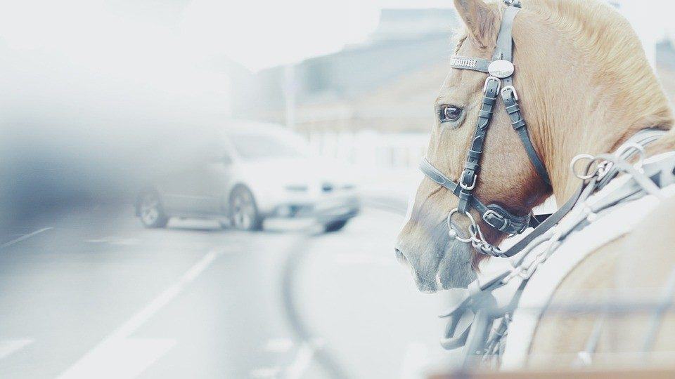 accident avec un cheval